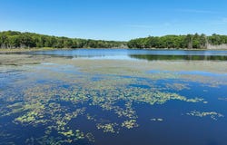 6808 Highway 8, Rhinelander, WI 54501