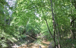 1851 FM 1987, Corrigan, TX 75939