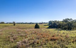 CR 4331, LaRue, TX 75770