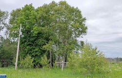 10211 Leander Road, Angora, MN 55703