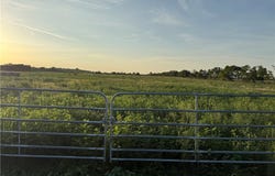 153 County Road 243, Kosse, TX 76653