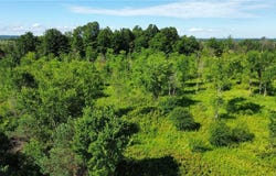 Rockbrook Road, Evans Mills, NY 13637