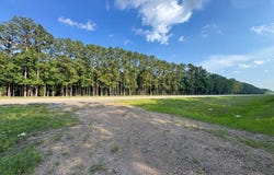 Highway 165, Kinder, LA 70648