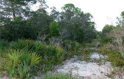235 Brant Avenue, Sebring, FL 33870