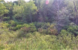664 Grat Strasse Road, Manchester, MI 48158