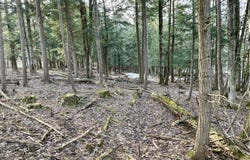 202 Melick, Root, NY 13317