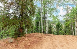 427 Wise Road, Bailey, CO 80421