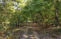 County Road 9400, West Plains, MO 65775