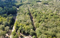 TBD Edmondson Rd lot: 3, Harleton, TX 75651