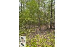 Kelly Road, HOLLADAY, TN 38317