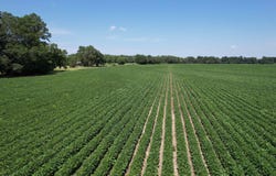 Buck Strong Rd lot: 5 -, Kingstree, SC 29556