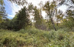 3240 Highway O, Cuba, MO 65453