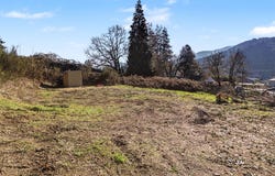 Fir St, Noti, OR 97461