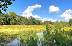 1250 Elder Branch RD, Hackett, AR 72937