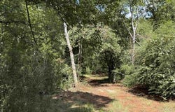 FM 768 N, Jacksonville, TX 75766