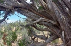 37400 N Big View Trail, Ash Fork, AZ 86320