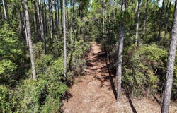 E Chapel Road, Laurel Hill, FL 32567