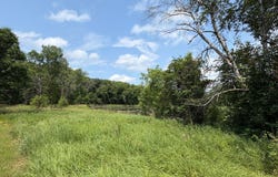 Hart Avenue NW, Annandale, MN 55302