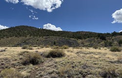 Palomino Dr, Williams, AZ 86046
