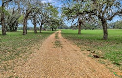 16297 State Highway 111, Yoakum, TX 77995