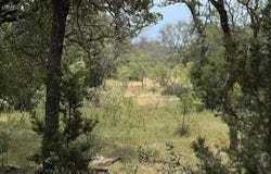 159 Mormon Creek Rd, Doss, TX 78618