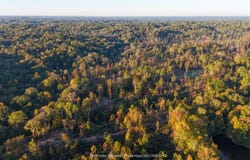Rodney Road, Port Gibson, MS 39150