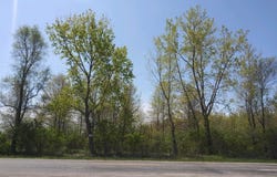 4500, Pembroke Township, IL 60958