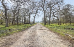 1144 Treetop Ln, Luling, TX 78648