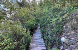 5248 Ely Island S, Tower, MN 55790