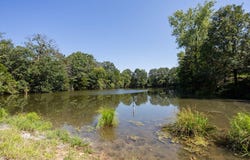 525 E Hwy C, Jerico Springs, MO 64756