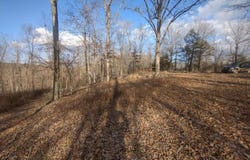 140 Brushy Creek rd, Mountain View, AR 72560