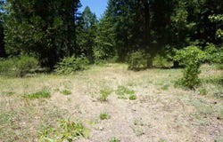 59555 Highway 70, Cromberg, CA 96103