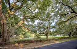 Pointe Aux Chenes lot: 7, Ocean Springs, MS 39564