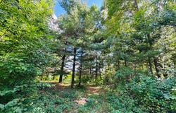 Morningside Drive lot: 7 & 8, Merrifield, MN 56465