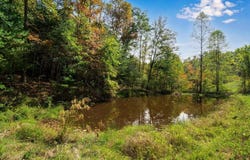 KY-15, Campton, KY 41301