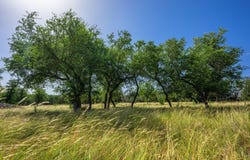 Hideout Ranch Lot 7, Mountain Home, TX 78058