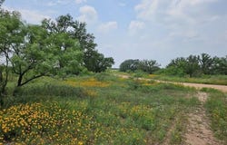 Starks Road, Mason, TX 76856