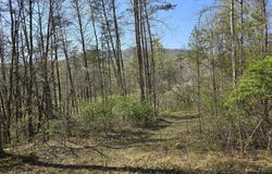 S FT VALLEY RD lot: 1, MADISON, VA 22727