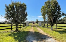 20970 NE 30TH Street, WILLISTON, FL 32696