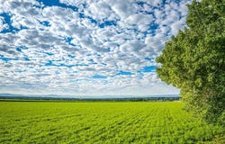 1449 Highway 50, Delta, CO 81416