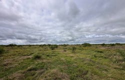County Rd 408, Eldorado, TX 76936