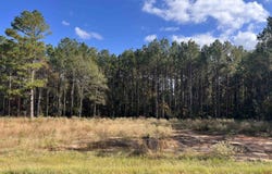 187 CR 2204, Tatum, TX 75691