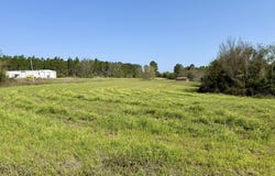 3 Acres Red Oak Road, Florala, AL 36442