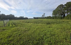 927 Clarendon Chadbourn Road, Chadbourn, NC 28431