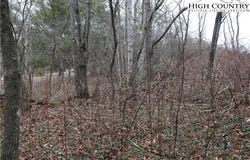 Cedar Hill Drive, Crumpler, NC 28617
