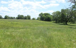 W Highway, Thayer, MO 65791
