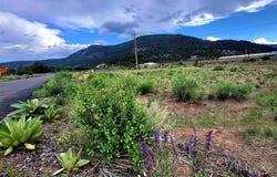 132 Big River Way Lot 8, South Fork, CO 81154