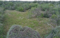 39 AC Dowdy, Kingsbury, TX 78638