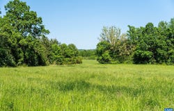 4332 HALIFAX RD, CHATHAM, VA 24531