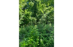 Peach Ridge Rd, Athens, OH 45701